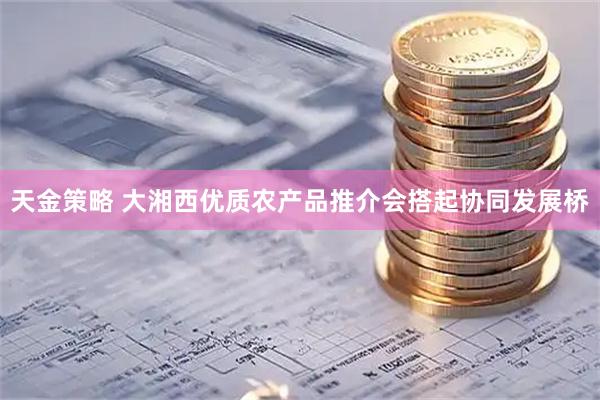 天金策略 大湘西优质农产品推介会搭起协同发展桥