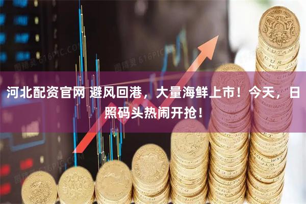 河北配资官网 避风回港，大量海鲜上市！今天，日照码头热闹开抢！