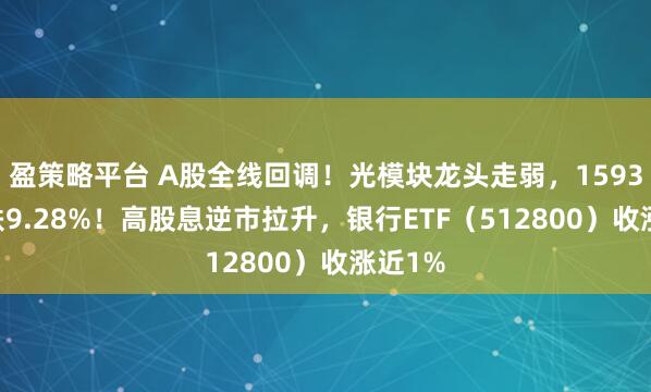 盈策略平台 A股全线回调！光模块龙头走弱，159363收跌9.28%！高股息逆市拉升，银行ETF（512800）收涨近1%