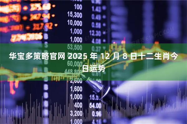 华宝多策略官网 2025 年 12 月 8 日十二生肖今日运势