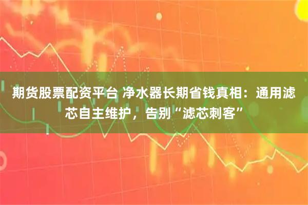 期货股票配资平台 净水器长期省钱真相：通用滤芯自主维护，告别“滤芯刺客”